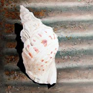 Caracola sobre lavadero. 2014. Acrílico sobre lienzo. Alfonso Kint
